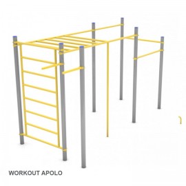 Workout Calistènia Apol·lo